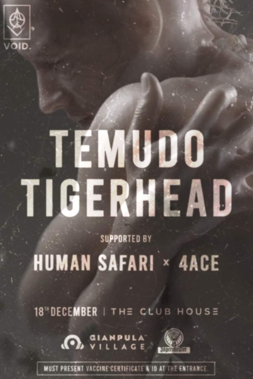 VOID // TIGERHEAD// TEMUDO poster