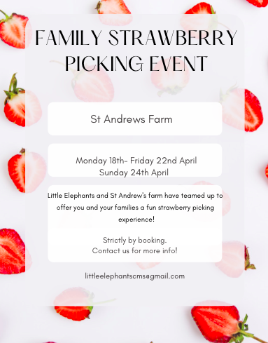 Strawberry Picking poster