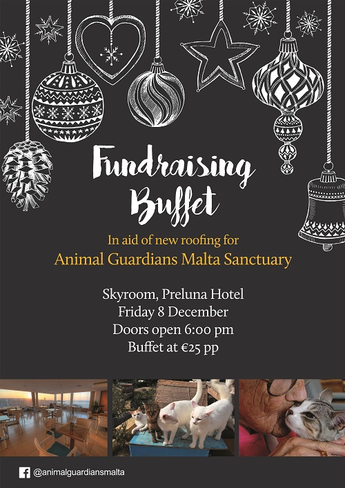 Buffet Bash to Build a Roof for our Furry Sanctuary Rescues poster