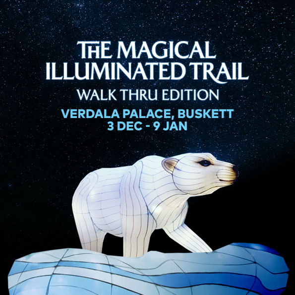 THE MAGICAL ILLUMINATED TRAIL poster