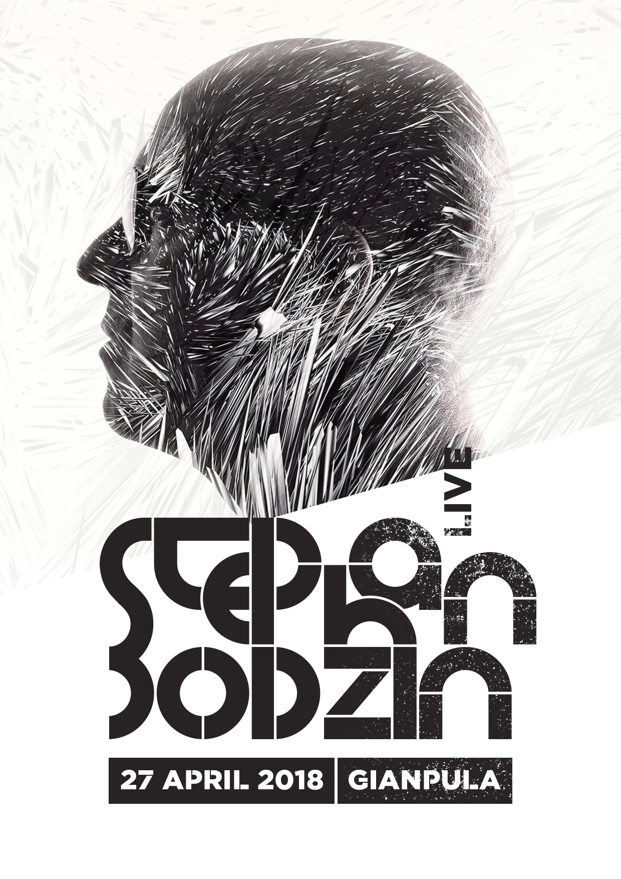 Stephan Bodzin (live) / 27.04.18 poster