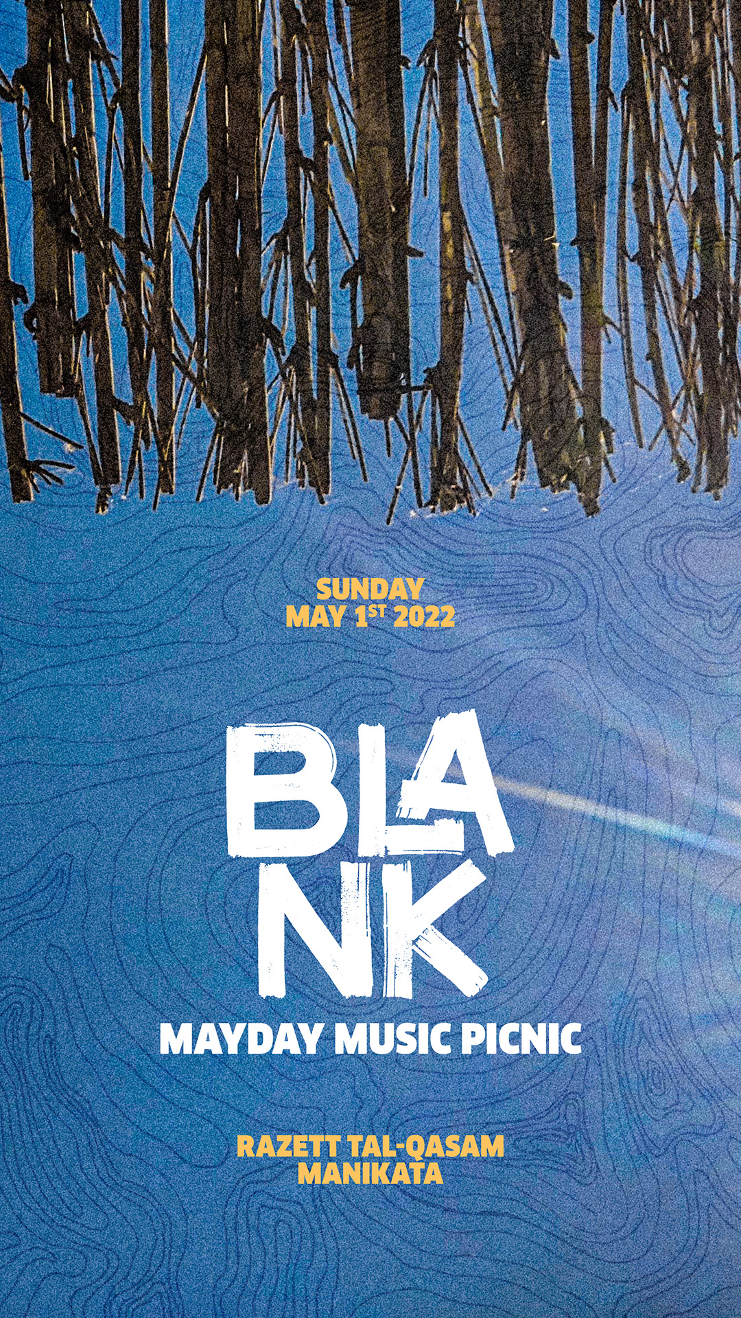 BLANK MayDay Music Picnic poster
