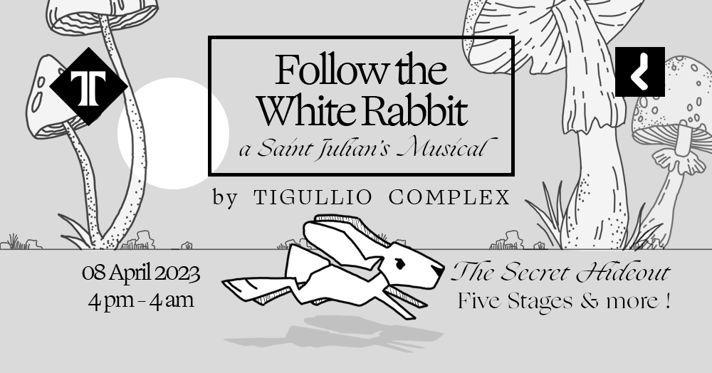 Follow_The_White_Rabbit poster