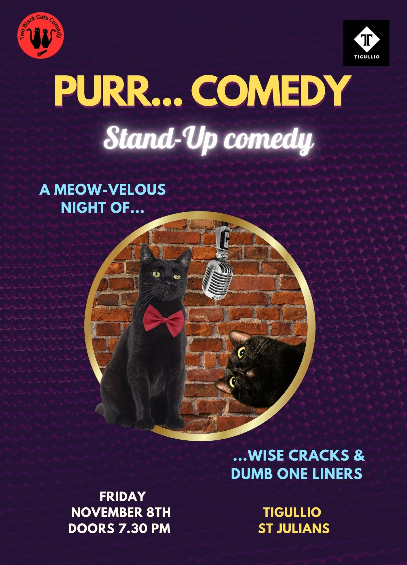 🐾 Purr-Stand Up Comedy Night 🐾