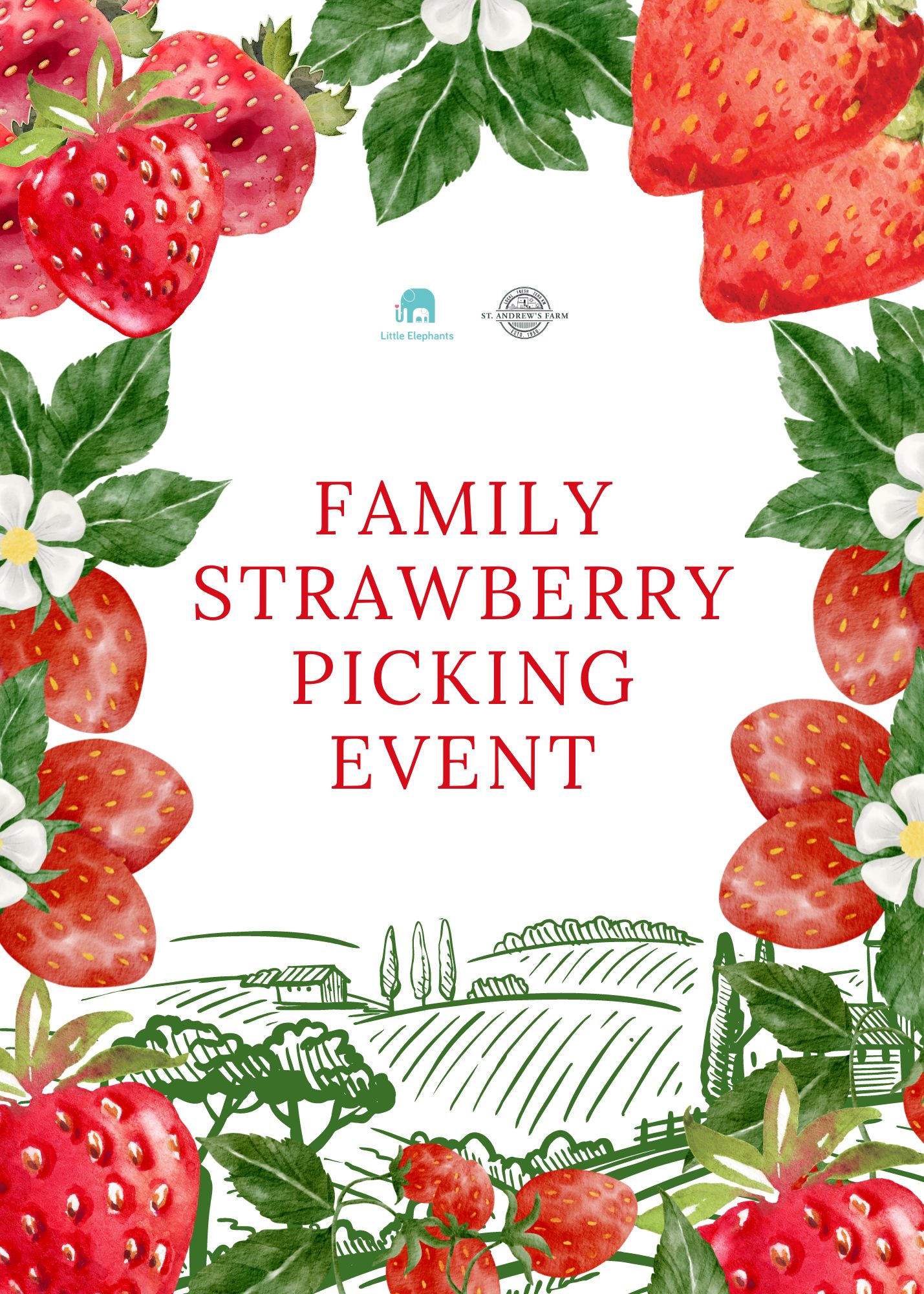 Strawberry Picking experience