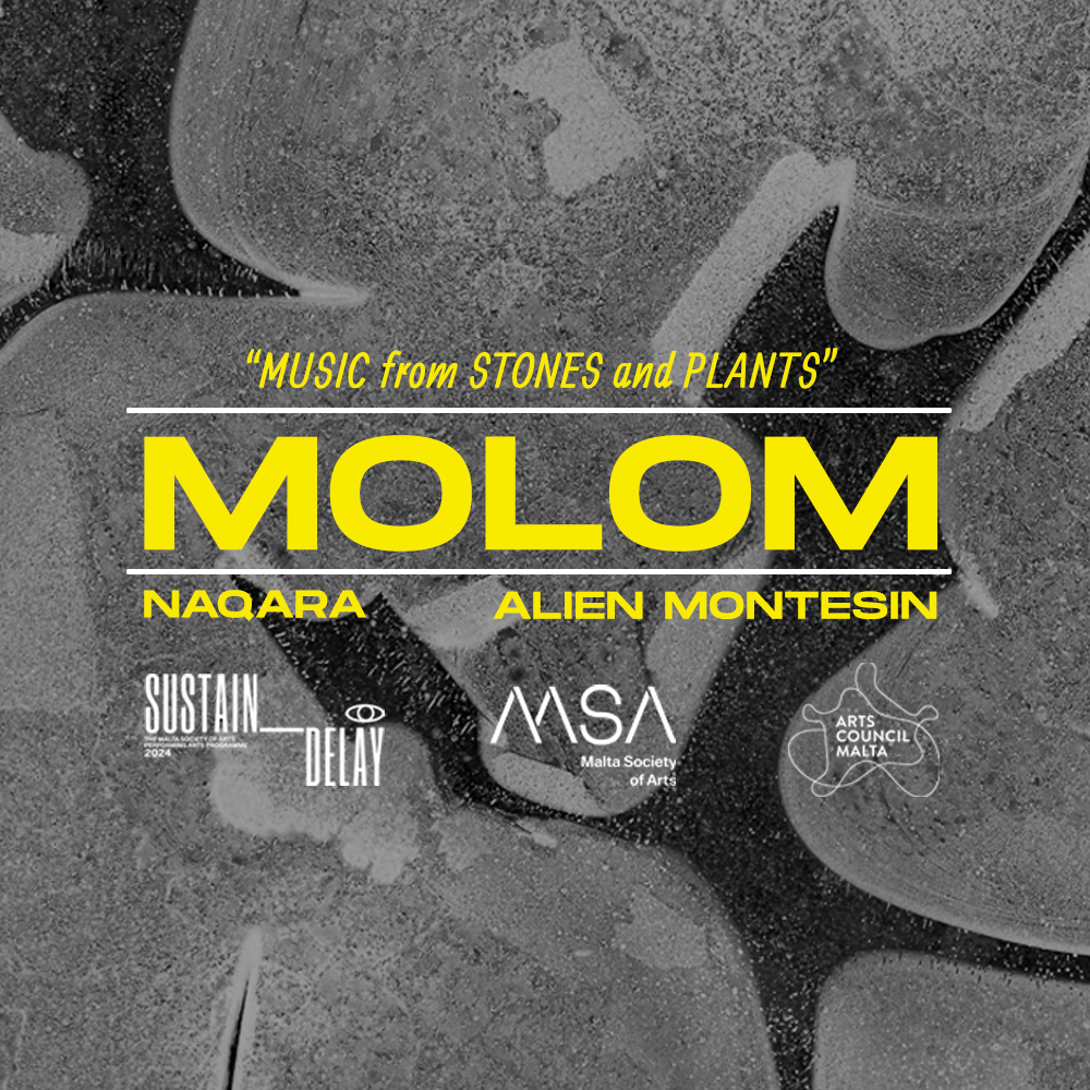 Sustain-Delay - Molom - Music from Stones and Plants poster