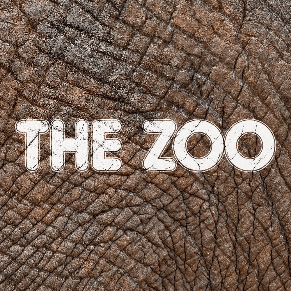 The Zoo Events